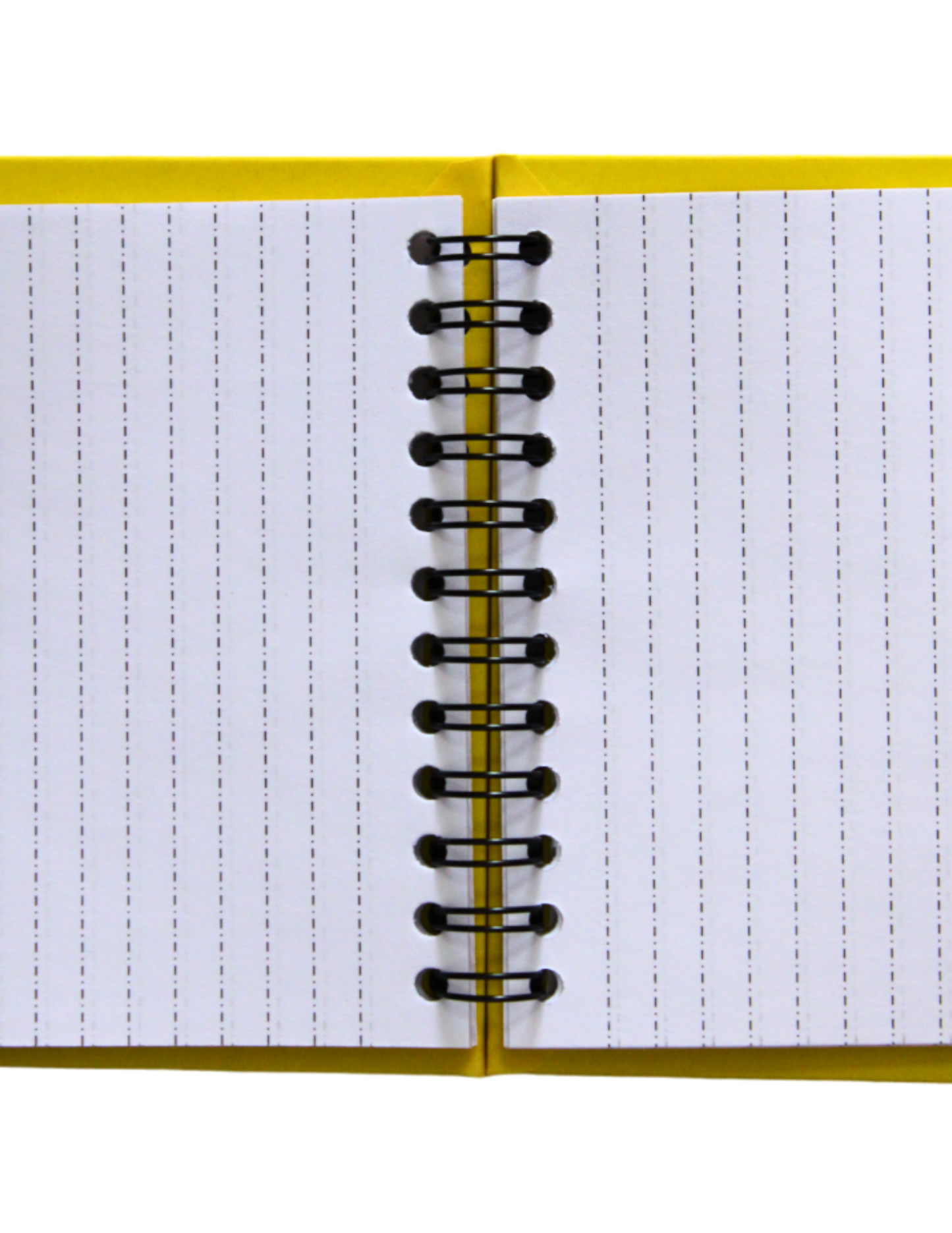 Cuadernos Mestizos, Estilo Francés Con Diseño De Español Perrito.