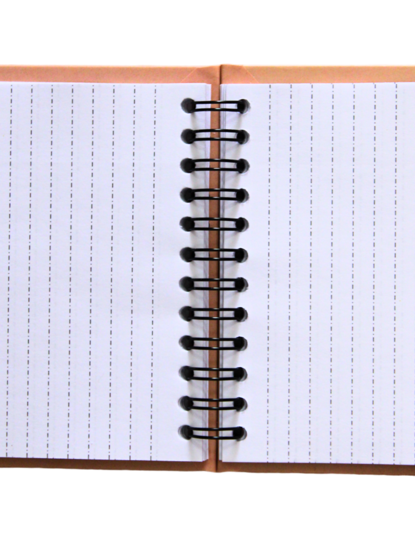 Cuadernos Mestizos, Estilo Francés Con Diseño De Atlas De México.