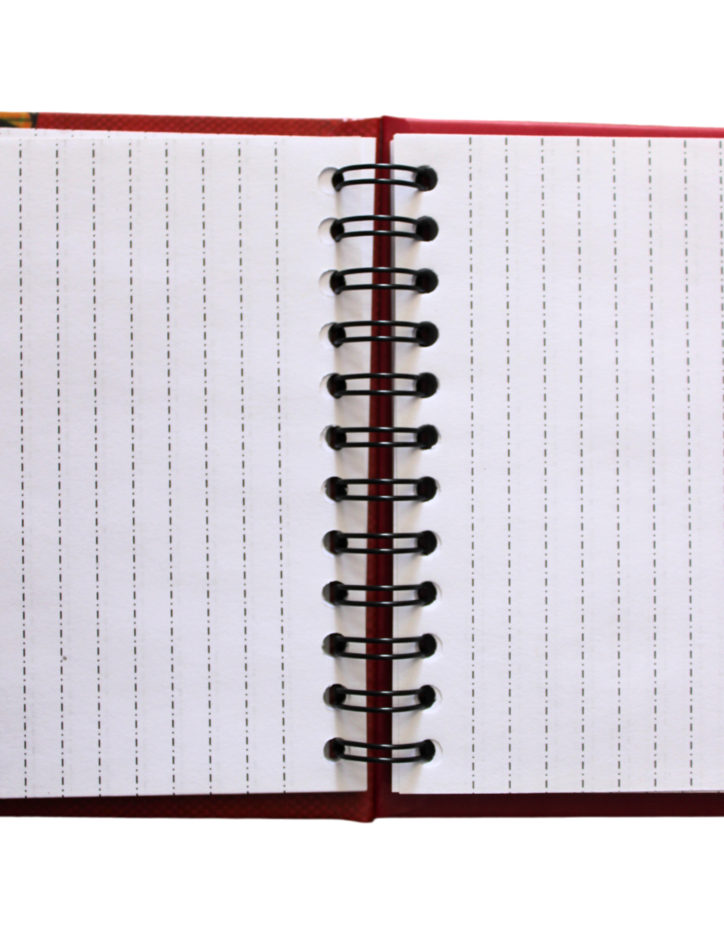 Cuadernos Mestizos, Estilo Francés Con Diseño De Blue Demon.